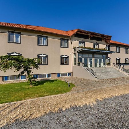 Stejarii Resort 伊内乌 外观 照片