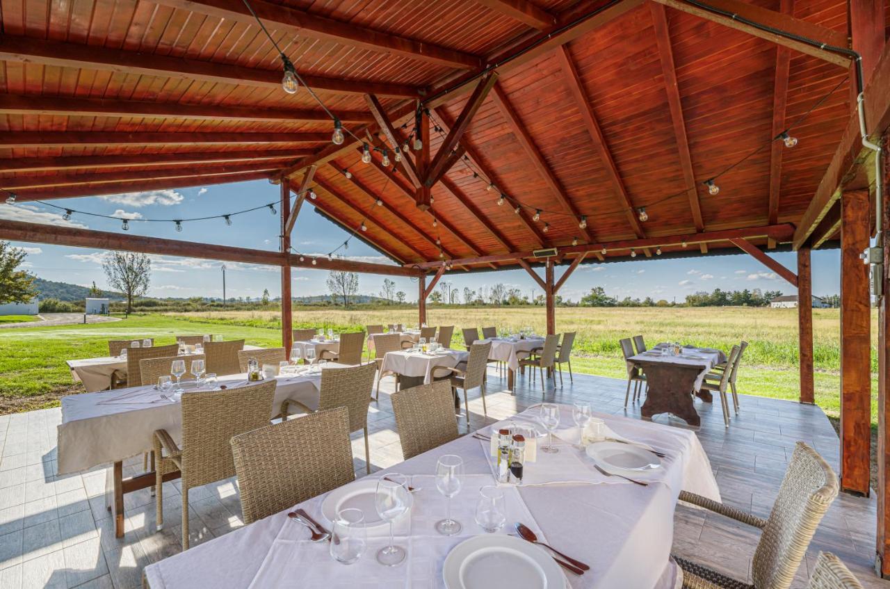 Stejarii Resort 伊内乌 外观 照片