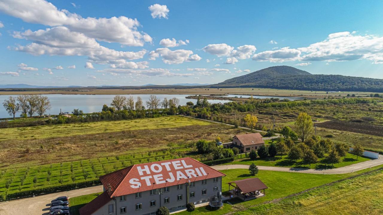 Stejarii Resort 伊内乌 外观 照片