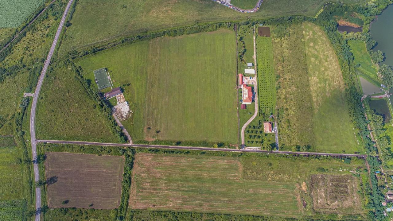 Stejarii Resort 伊内乌 外观 照片