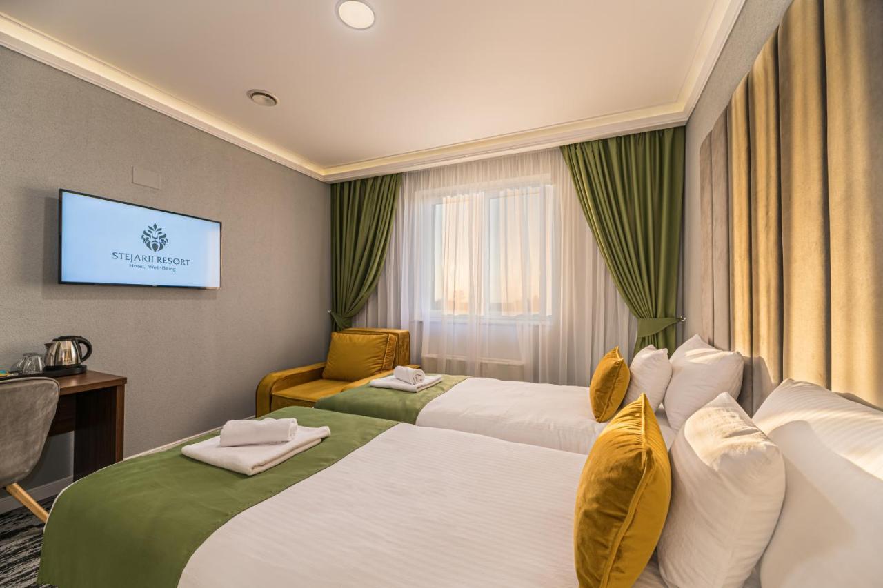 Stejarii Resort 伊内乌 外观 照片