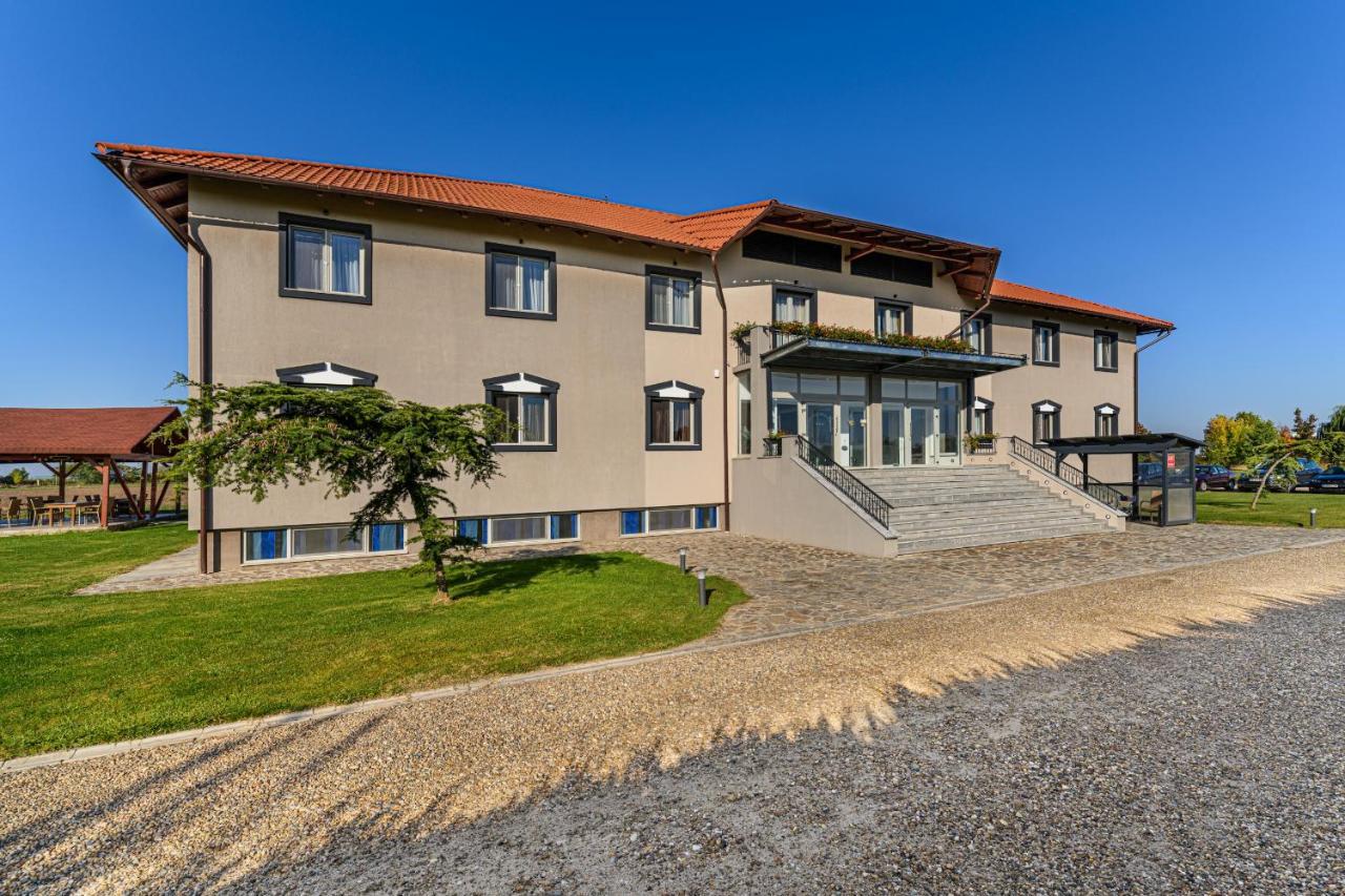 Stejarii Resort 伊内乌 外观 照片