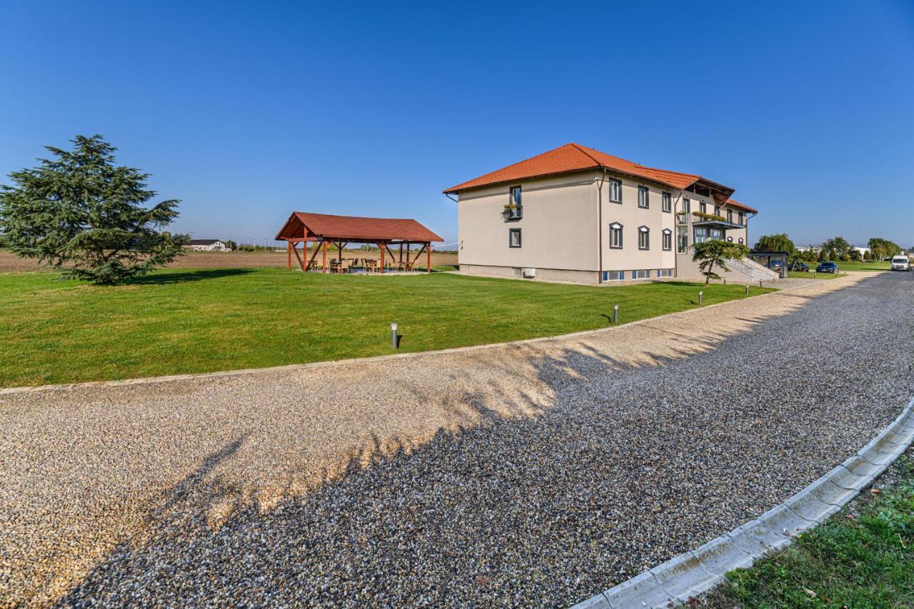Stejarii Resort 伊内乌 外观 照片
