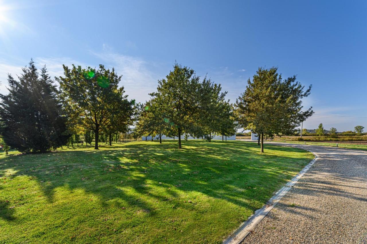 Stejarii Resort 伊内乌 外观 照片